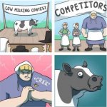 Cow milking contest