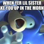 Sonic in pain | WHEN YER LIL SISTER WAKE YOU UP IN THE MORNING | image tagged in sonic in pain | made w/ Imgflip meme maker