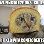 Inbred | WE FINK ALL ZE DNS ISHUES; R FIXED WIV CONFLOOENTS | image tagged in inbred,work | made w/ Imgflip meme maker