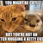 Cuddly friends | YOU MIGHT BE CUTE; BUT YOU'RE NOT AN OTTER HUGGING A KITTY CUTE! | image tagged in otter | made w/ Imgflip meme maker