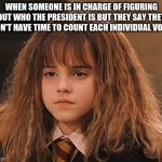 When someone is in charge of figuring out who the president is but they say they don't have time to count each individual vote | WHEN SOMEONE IS IN CHARGE OF FIGURING OUT WHO THE PRESIDENT IS BUT THEY SAY THEY DON'T HAVE TIME TO COUNT EACH INDIVIDUAL VOTE | image tagged in dissapointed hermione | made w/ Imgflip meme maker