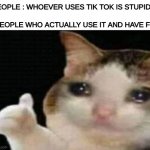 bruh | PEOPLE : WHOEVER USES TIK TOK IS STUPID; PEOPLE WHO ACTUALLY USE IT AND HAVE FUN | image tagged in crying cat thumbs up | made w/ Imgflip meme maker