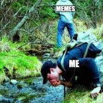 literally everybody on imgflip | MEMES; ME | image tagged in pee water | made w/ Imgflip meme maker