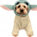 Yoda Dog