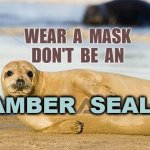 Amber Seal | WEAR  A  MASK
DON'T  BE  AN; AMBER  SEAL ! | image tagged in amber seal | made w/ Imgflip meme maker