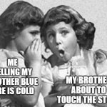 If you've done something like this, give it a like | MY BROTHER ABOUT TO TOUCH THE STOVE; ME TELLING MY BROTHER BLUE FIRE IS COLD | image tagged in funny,humor,dark humor,siblings | made w/ Imgflip meme maker