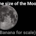 The size of the Moon Banana for scale meme