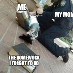 the daily struggles | ME; MY MOM; THE HOMEWORK I FORGOT TO DO | image tagged in knight templar reaching for bible | made w/ Imgflip meme maker