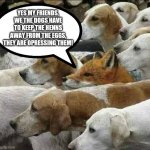 Fox and Foxhounds | YES MY FRIENDS, WE THE DOGS HAVE TO KEEP THE HENNS AWAY FROM THE EGGS, THEY ARE OPRESSING THEM! | image tagged in fox and foxhounds | made w/ Imgflip meme maker