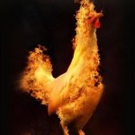 flaming chicken meme