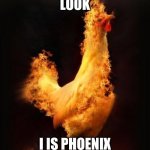 flaming chicken | LOOK; I IS PHOENIX | image tagged in flaming chicken,kfc,phoenix | made w/ Imgflip meme maker