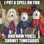 Halloween timecard | I PUT A SPELL ON YOU; AND NOW YOU'LL SUBMIT TIMECARDS | image tagged in timecard reminder | made w/ Imgflip meme maker