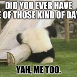 Failure Hurts | DID YOU EVER HAVE ONE OF THOSE KIND OF DAYS? YAH, ME TOO. | image tagged in panda fail | made w/ Imgflip meme maker