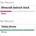 new password | Minecraft bedrock block; Nokia phone | image tagged in new password | made w/ Imgflip meme maker