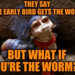 Dog Eat Dog World | THEY SAY 
THE EARLY BIRD GETS THE WORM; BUT WHAT IF YOU'RE THE WORM?? | image tagged in memes,early bird,so true memes | made w/ Imgflip meme maker