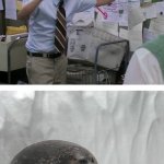 Pepe Silvia Explaining To A Seal