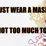 JUST WEAR A MASK | JUST WEAR A MASK. IT'S NOT TOO MUCH TO ASK. | image tagged in just wear a mask | made w/ Imgflip meme maker