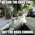 Cat Relaxing | ME AND THE CARS CHILL; BUT THE DOGS COMING | image tagged in cat relaxing | made w/ Imgflip meme maker