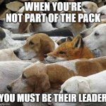 otherwise your the prey | WHEN YOU'RE NOT PART OF THE PACK; YOU MUST BE THEIR LEADER | image tagged in fox and hounds,leader,prey | made w/ Imgflip meme maker