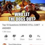 WHO LET THE DOGS OUT? | image tagged in memes,top 10 questions science still can't answer | made w/ Imgflip meme maker