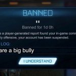 Rocket League Ban | You are a big bully | image tagged in rocket league ban | made w/ Imgflip meme maker