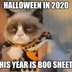 Grumpy Cat Halloween Meme | HALLOWEEN IN 2020 THIS YEAR IS BOO SHEETS | image tagged in memes,grumpy cat halloween,grumpy cat | made w/ Imgflip meme maker