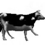Polish cow dancing GIF Template