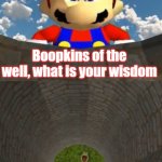 Boopkins of the well (REMASTERED)