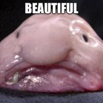 Blobfish | BEAUTIFUL | image tagged in blobfish | made w/ Imgflip meme maker