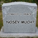 empty gravestone 121212 | FINALLY @ PEACE; NOSEY MUCH? | image tagged in empty gravestone 121212 | made w/ Imgflip meme maker