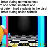i think it's because i am more relaxed at home | My brain during normal school: 
I am one of the smartest and most determined students in the district!
My brain during online school:; Wow look!   N O T H I N G | image tagged in wow look nothing | made w/ Imgflip meme maker