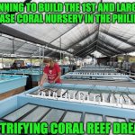 CORAL NURSERY | PLANNING TO BUILD THE 1ST AND LARGEST LAND BASE CORAL NURSERY IN THE PHILIPPINES; ELECTRIFYING CORAL REEF DREAMS | image tagged in coral nursery | made w/ Imgflip meme maker