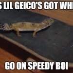 Gecko got wheels | THIS LIL GEICO'S GOT WHEELS; GO ON SPEEDY BOI | image tagged in gecko got wheels | made w/ Imgflip meme maker