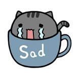 sad cat in teacup