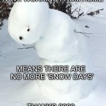 No More Snow Days | NOW: WORKING FROM HOME; MEANS THERE ARE 
NO MORE 'SNOW DAYS'; THANKS 2020. | image tagged in meme,haiku,work from home,snow day,sadness | made w/ Imgflip meme maker