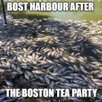 The fish died of tea | BOST HARBOUR AFTER; THE BOSTON TEA PARTY | image tagged in menindee dead fish | made w/ Imgflip meme maker