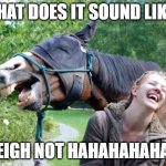 haha sound | WHAT DOES IT SOUND LIKE? NEIGH NOT HAHAHAHAHAH | image tagged in laughing horse | made w/ Imgflip meme maker
