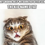 horrified cat | ME: HEY WANNA HELP ME BURN FAT AFTER SCHOOL THE KID NAMED FAT | image tagged in horrified cat | made w/ Imgflip meme maker