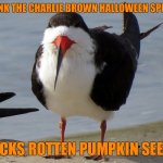 Even Less Popular Opinion Bird | I THINK THE CHARLIE BROWN HALLOWEEN SPECIAL; SUCKS ROTTEN PUMPKIN SEEDS | image tagged in even less popular opinion bird,charlie brown,halloween | made w/ Imgflip meme maker