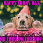 dog birthday | HAPPY FUNNY HAT; AND FOOD ON FIRE DAY !! | image tagged in dog birthday | made w/ Imgflip meme maker