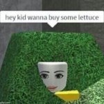 lettuce template