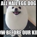 YOU DARE QUESTION EGG DOG | ALL HAIL EGG DOG; BOW BEFORE OUR KING | image tagged in all hail egg dog | made w/ Imgflip meme maker