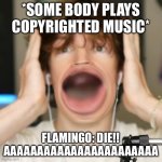 Flamingo surprised | *SOME BODY PLAYS COPYRIGHTED MUSIC*; FLAMINGO: DIE!! AAAAAAAAAAAAAAAAAAAAAAA | image tagged in flamingo surprised | made w/ Imgflip meme maker