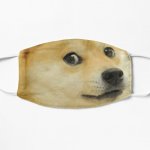 Doge Mask meme