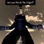 Are you the do the stupid? meme