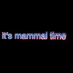 It's mammal time