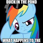 Pennies vs. ducks | IF I PUT THE DUCK IN THE POND; WHAT HAPPENS TO THE 100 PENNIES IN A POND? | image tagged in confused rainbow dash,pennies,ducks,memes,nonsense | made w/ Imgflip meme maker