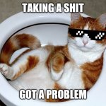 Funny Cat | TAKING A SHIT; GOT A PROBLEM | image tagged in funny cat,memes,savage memes,funny memes,dank memes,funny | made w/ Imgflip meme maker