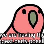 invite literally anyone | we are having the biggest party possible | image tagged in gifs,party,floridaman_official,i did it | made w/ Imgflip video-to-gif maker