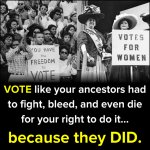 Voting Rights meme